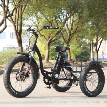 2020 New Model High Power Cargo E-Bike Electric Fat Tire Trike for Delivery